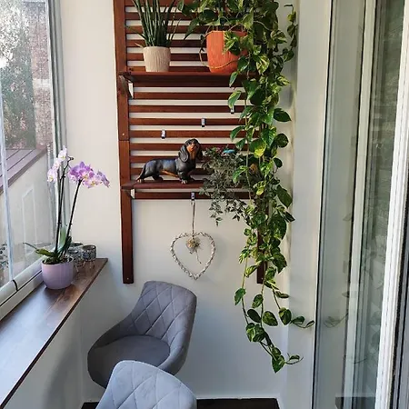 Lilly Lux Apartment *